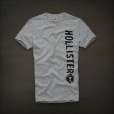 Hollister Men Shirts-379